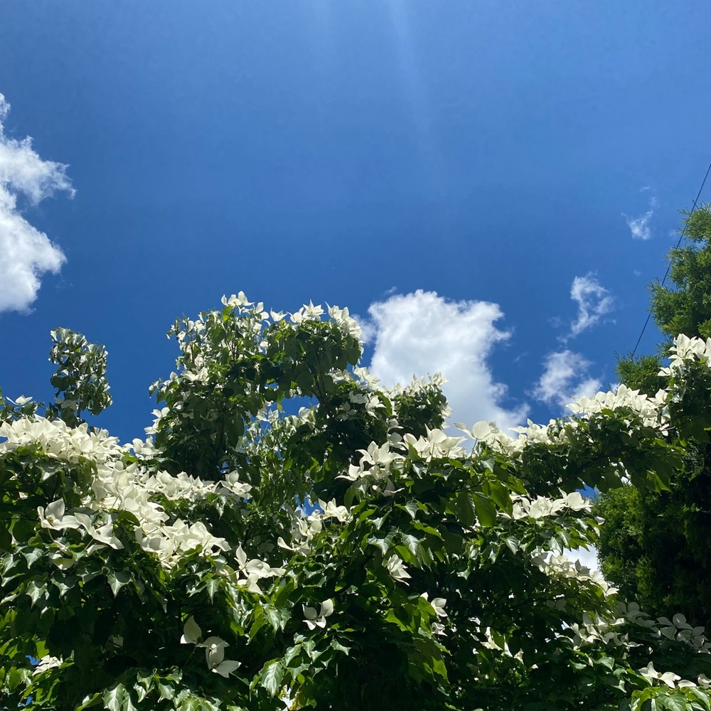 Meet your Posher, Erika